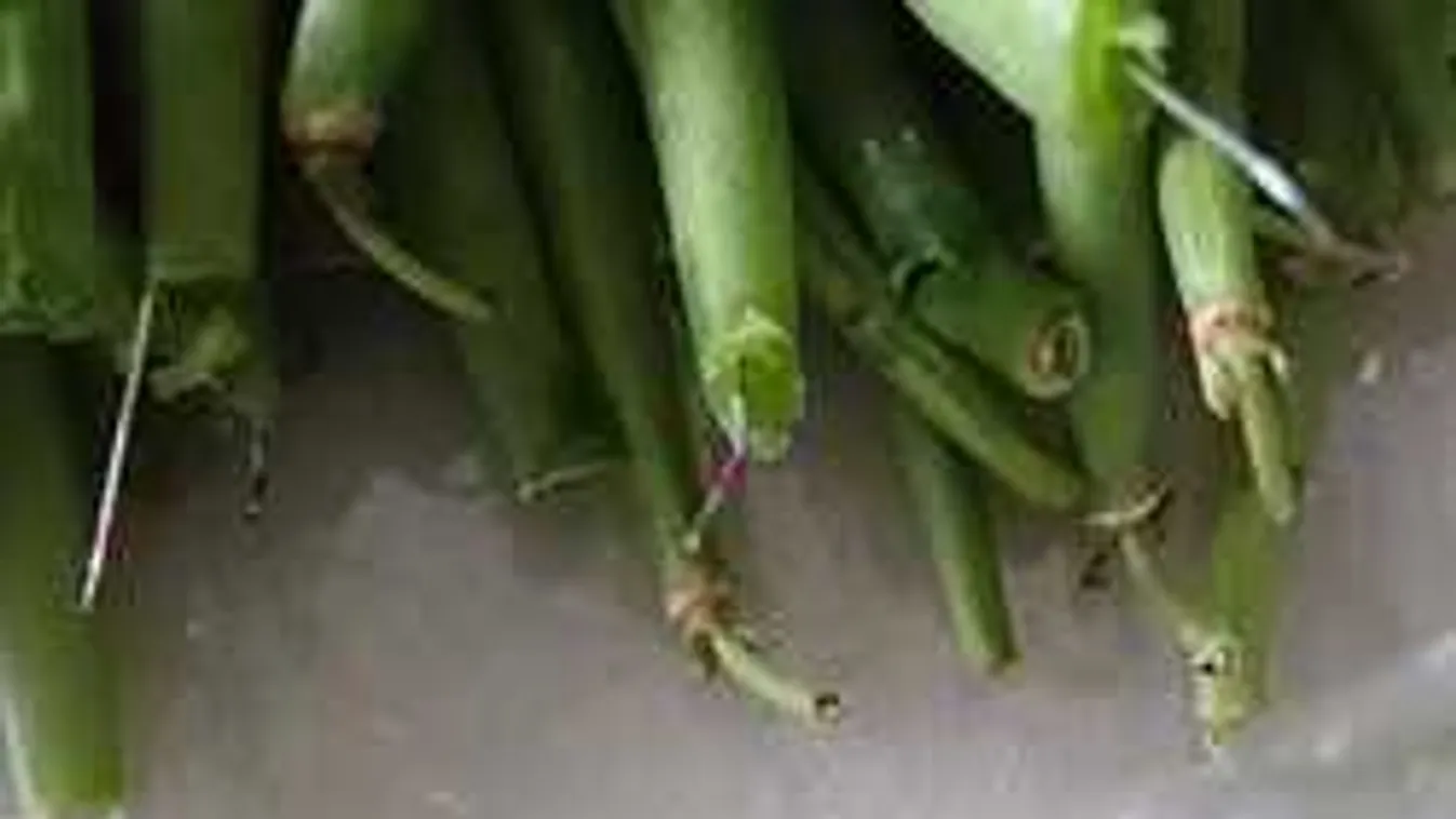 Csak főzni akart a gyanútlan vevő, de a zacskó kibontása után jött a sokk