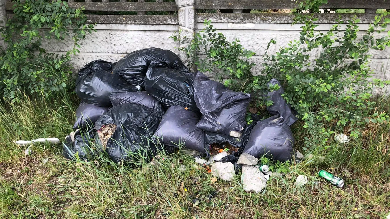 Döbbenetes, hogy mire nem képesek egyesek, ráadásul más otthonánál – fotók