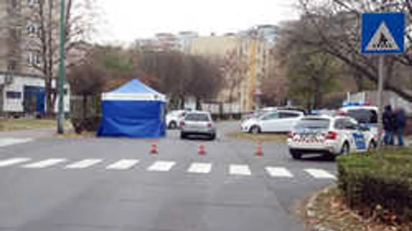 Drámai fotók érkeztek a dunaújvárosi tragédiáról, meghalt egy gyalogos