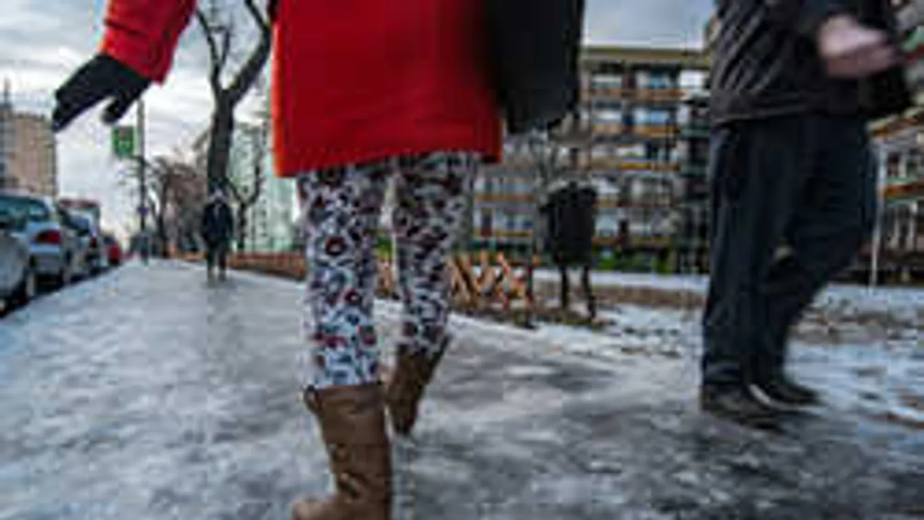 Tarlósnak elege lett a helyzetből