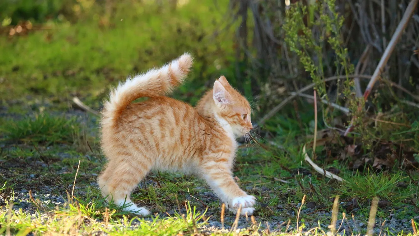 Most még élvezd ki a hétvégét, eddig tart ki a jó idő