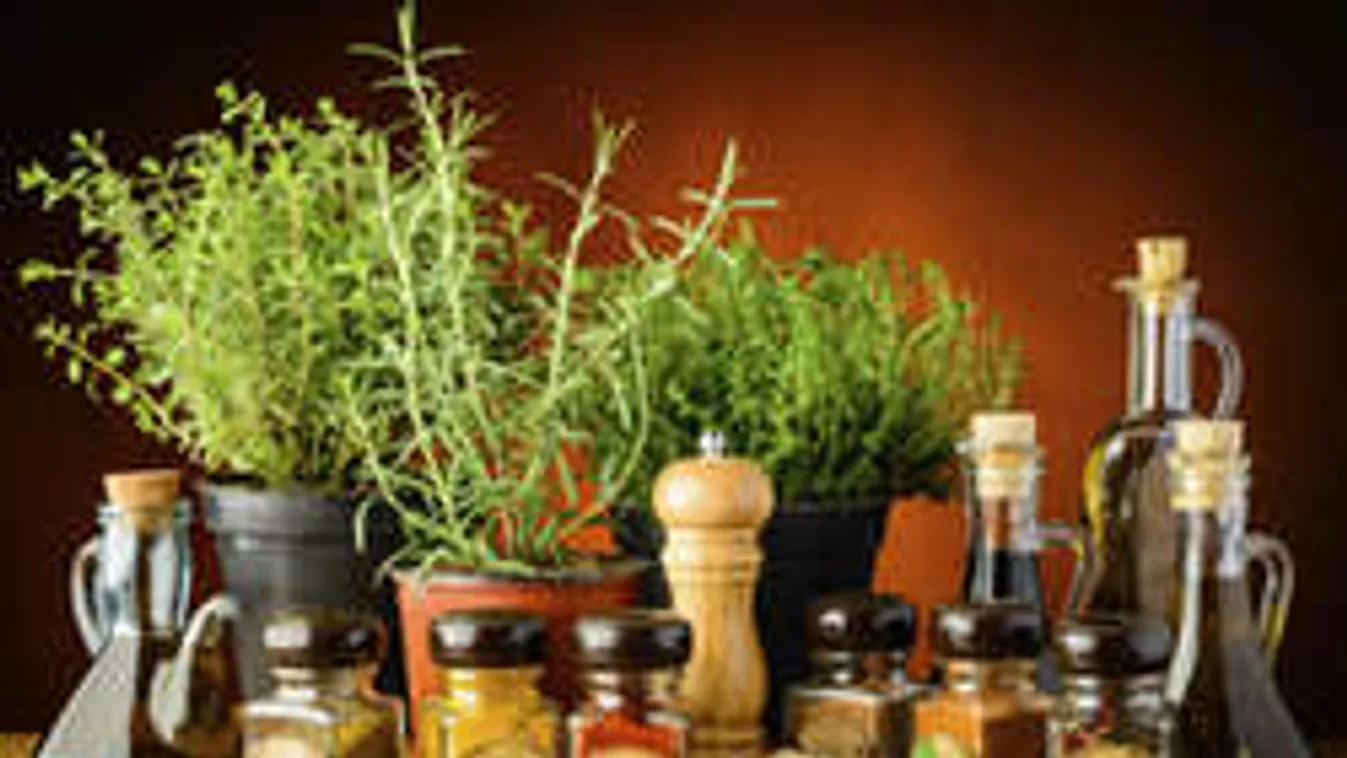 Pálinka gyógynövény-ágyon. Egy próbát megér!