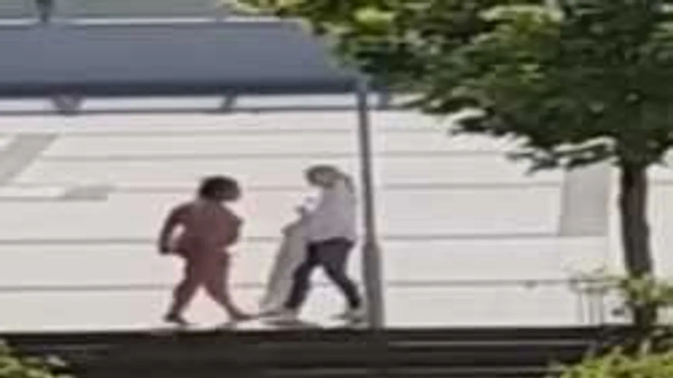 Meztelen fekete nő randalírozott fényes nappal a kisvárosban - videó