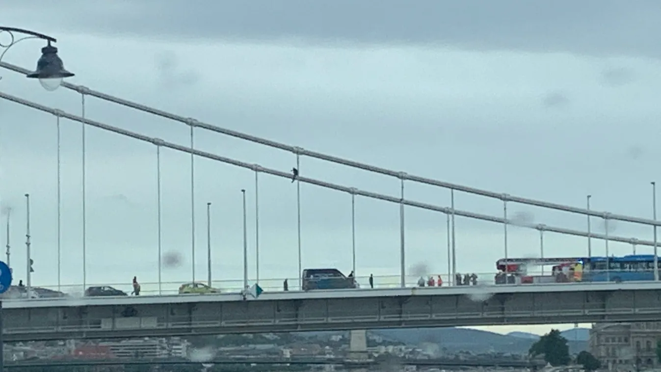 Felmászott egy ember az Erzsébet hídra – fotók