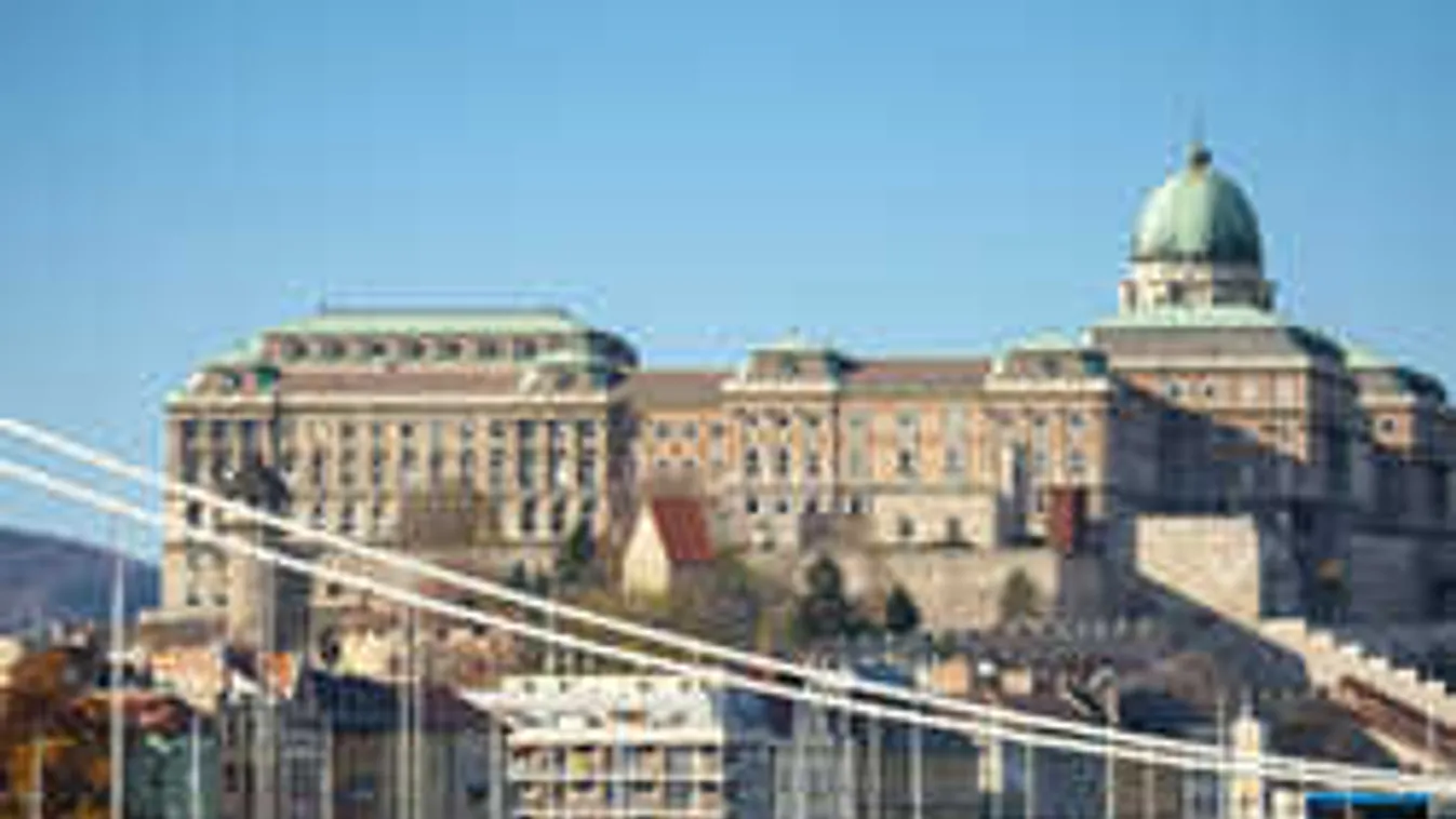 Picike tüntike a Budai várban