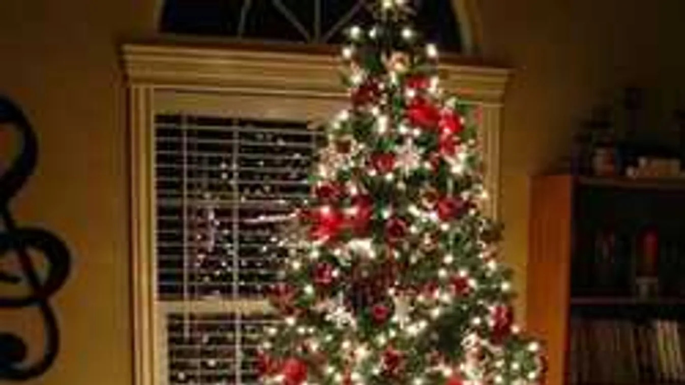 Rendőrök szedték le a főtéren állított karácsonyfáról a migránst