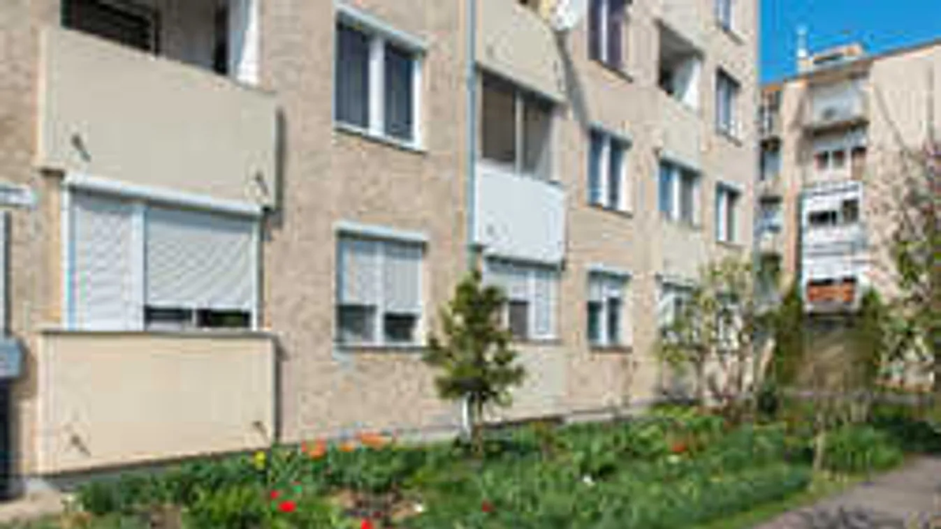 Szomszédháború: börtöntől retteg a 72 éves asszony