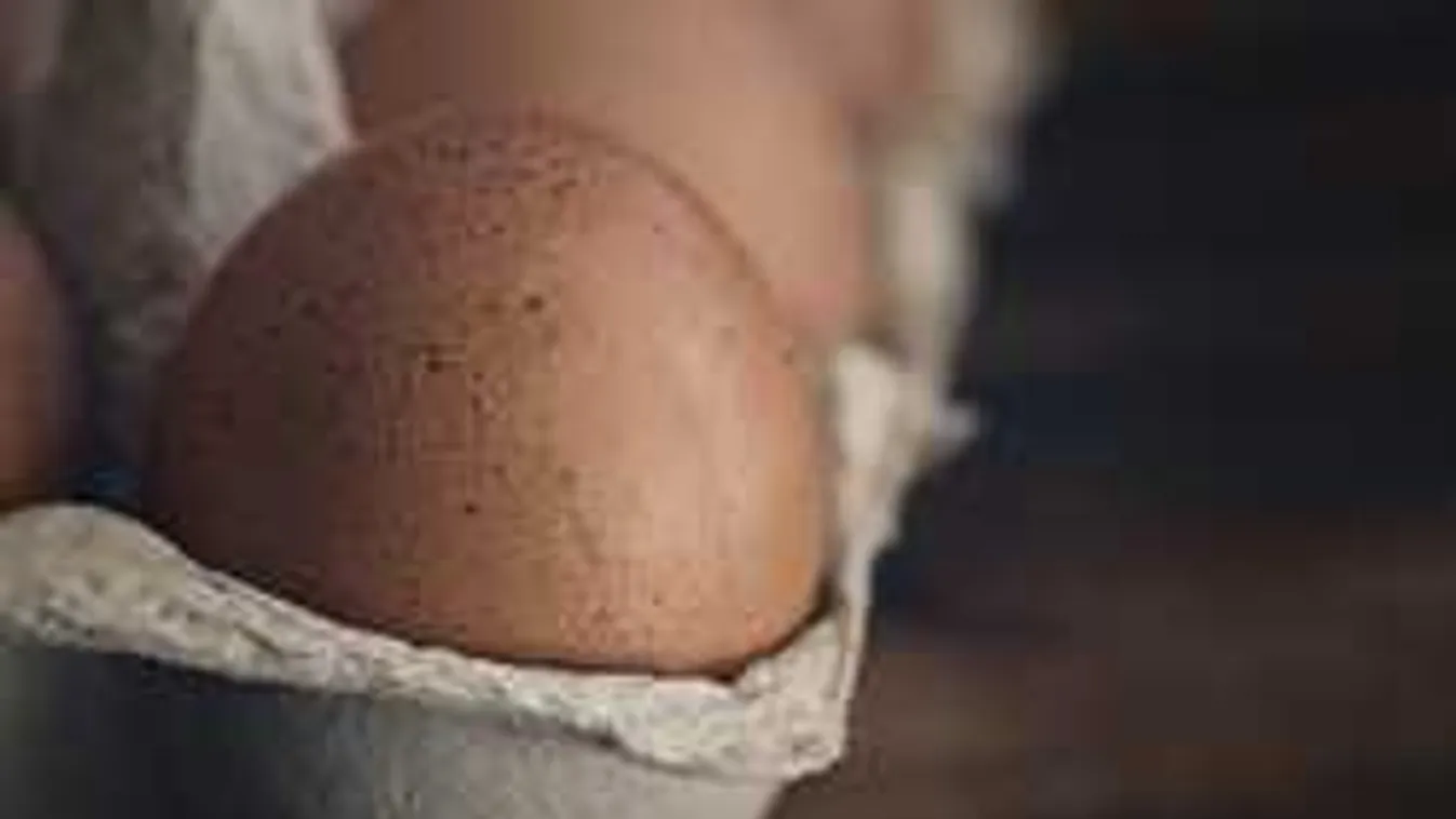 Tojáskatasztrófa Magyarországon: alig van, és az is drága!