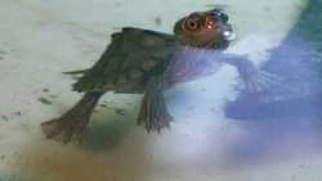 Ezt ne ajándékozd karácsonyra semmiképp!