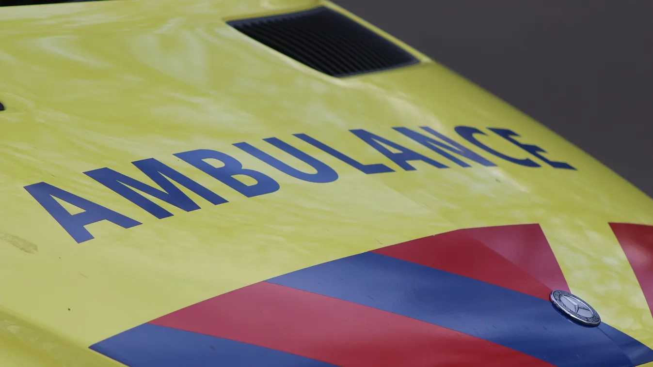 „Azt hittem meg fogok halni” – halálra rémült egy férfi, miután vadállatok támadták meg