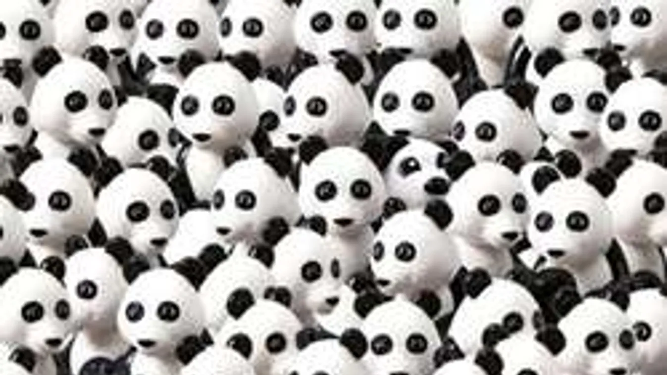 Kitéped a hajad ettől a rejtvénytől! Hol van a kutya?!