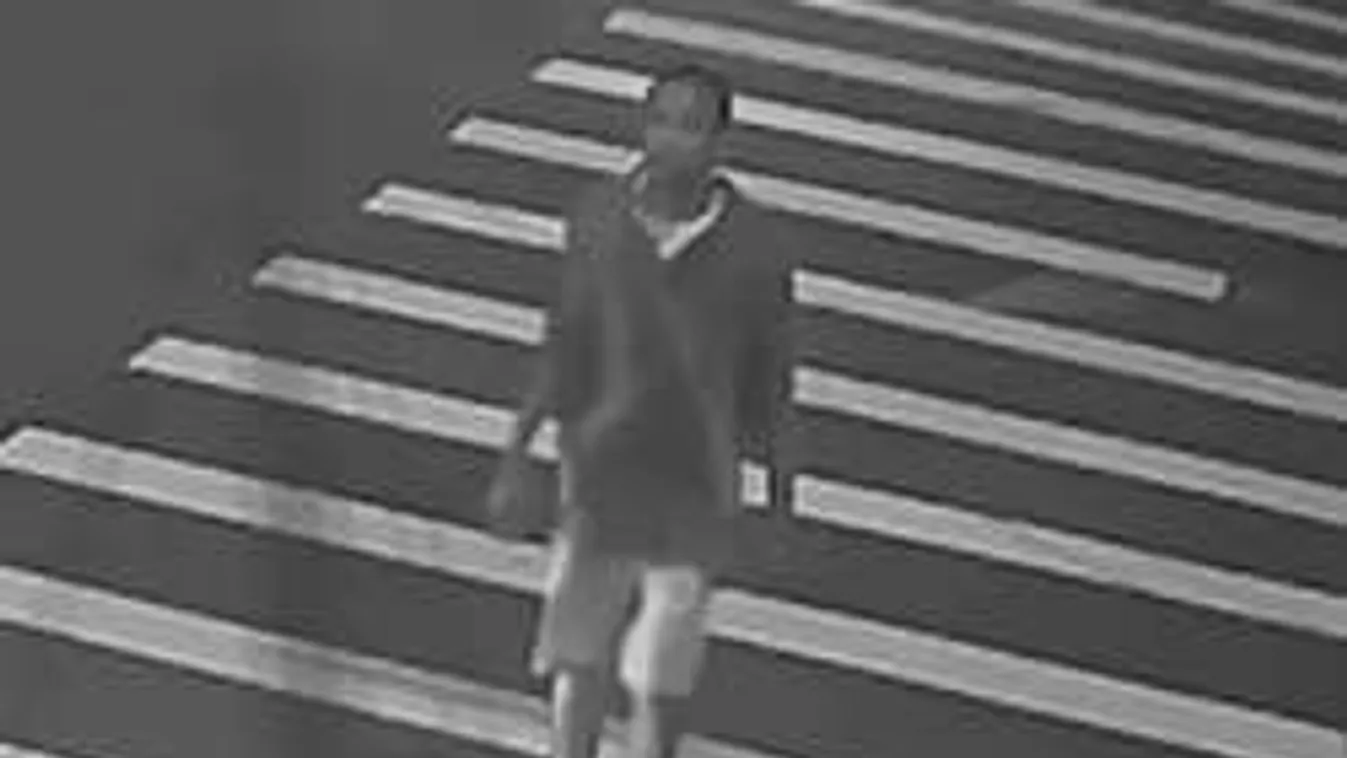 Nyalogatta áldozatát a perverz erőszaktevő