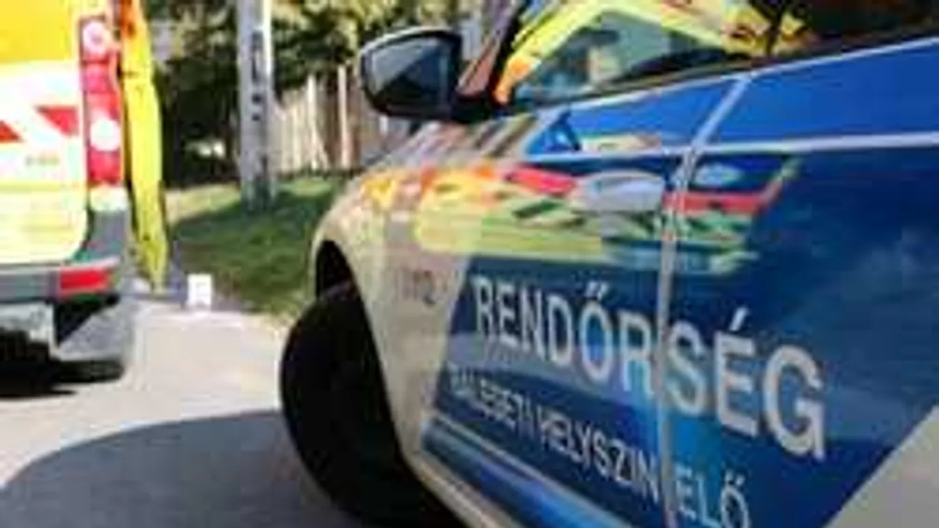 Szirénázva rohantak a mentők, ez történt a Dobogókői úton