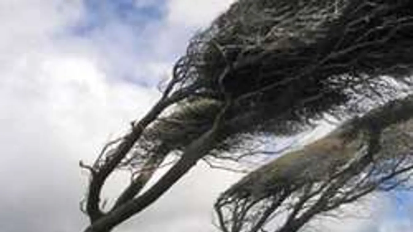 Vihar, felhőszakadás jön, viharos széllel, jéggel