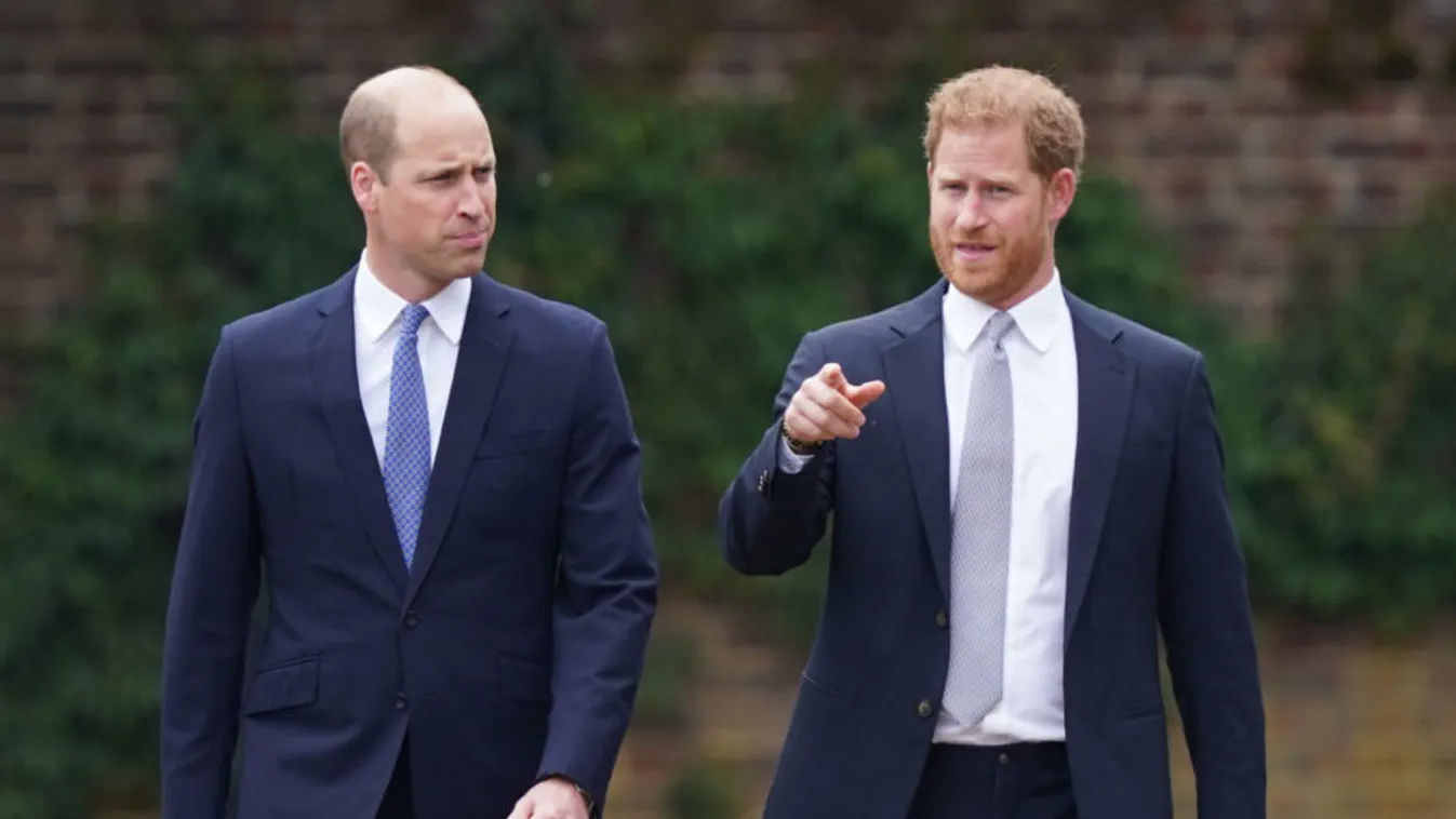 Vilmosnak biztos nem fog tetszeni, hogy Harry a Netflix pártján áll