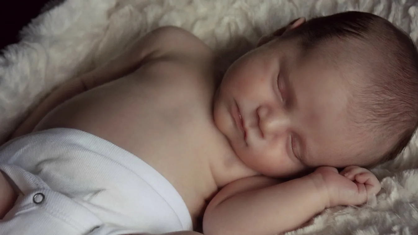 Dráma: egy újszülött kisfiú holttestére bukkantak egy szemétszállítóban