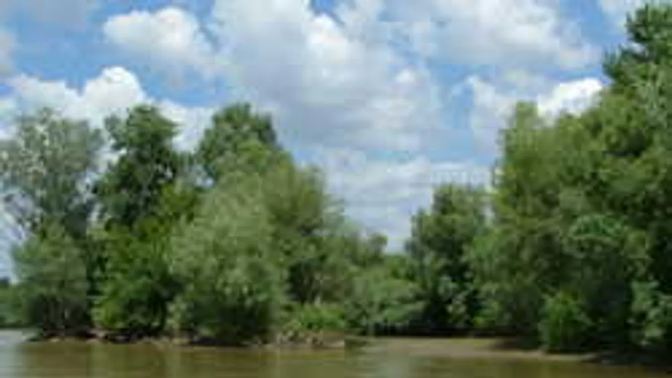 Vízparton játszó gyerekek bukkantak rá az eltűnt férfi holttestére