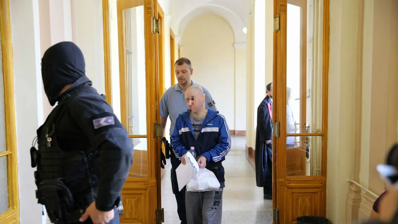Népligeti gyilkosság: újabb részletek, lemondott a tárgyalásról a tettes