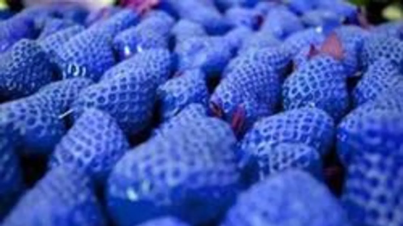 Létezik-e kék eper?