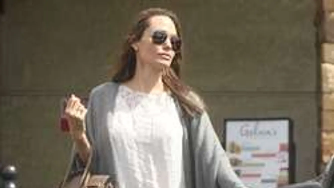 Angelina Jolie szervezetét megtámadta a Zika-vírus?