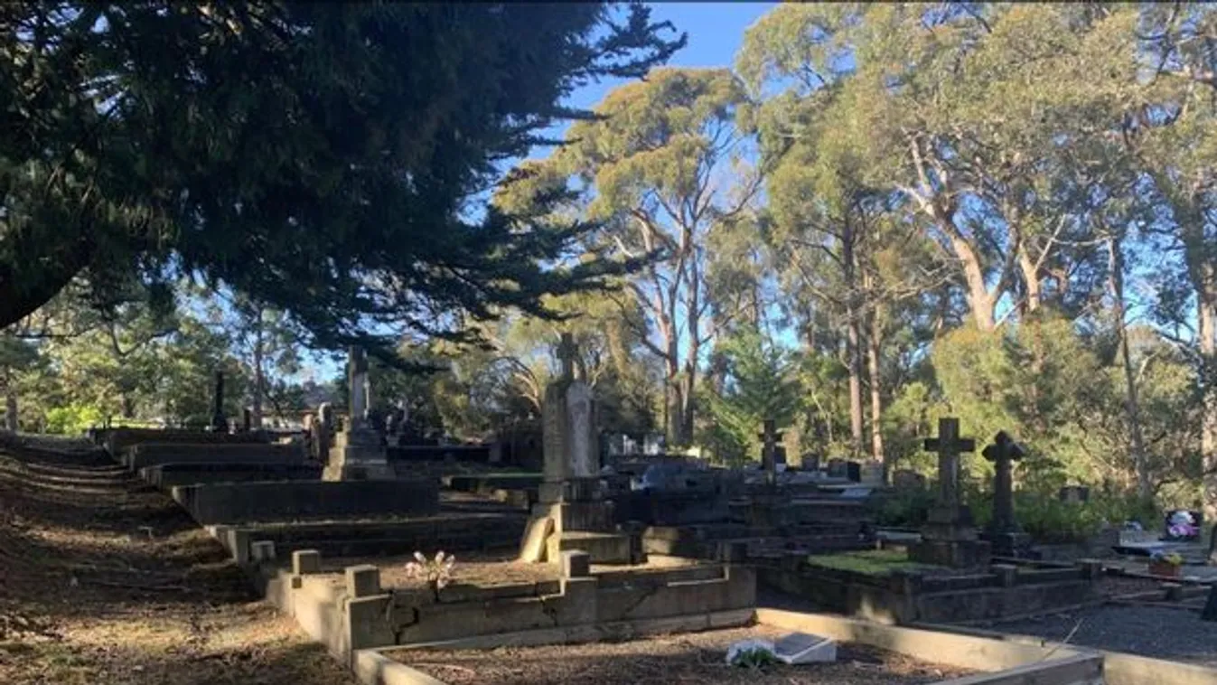 A temetőben bukott le a masztifantom, egy elektromos fogkefével élte át az orgazmust