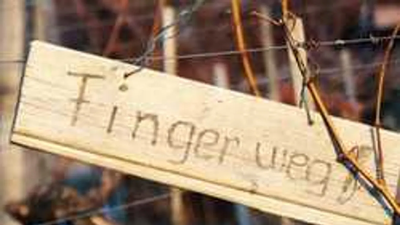 50 százalékkal nőtt a nemi erőszakot elkövetők száma Bajorországban...