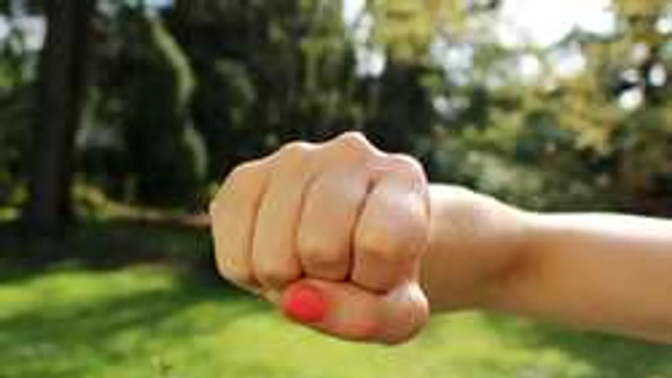 Összecsaptak a biztonságiakkal a feldühödött fesztiválozók, törtek-zúztak Belgiumban