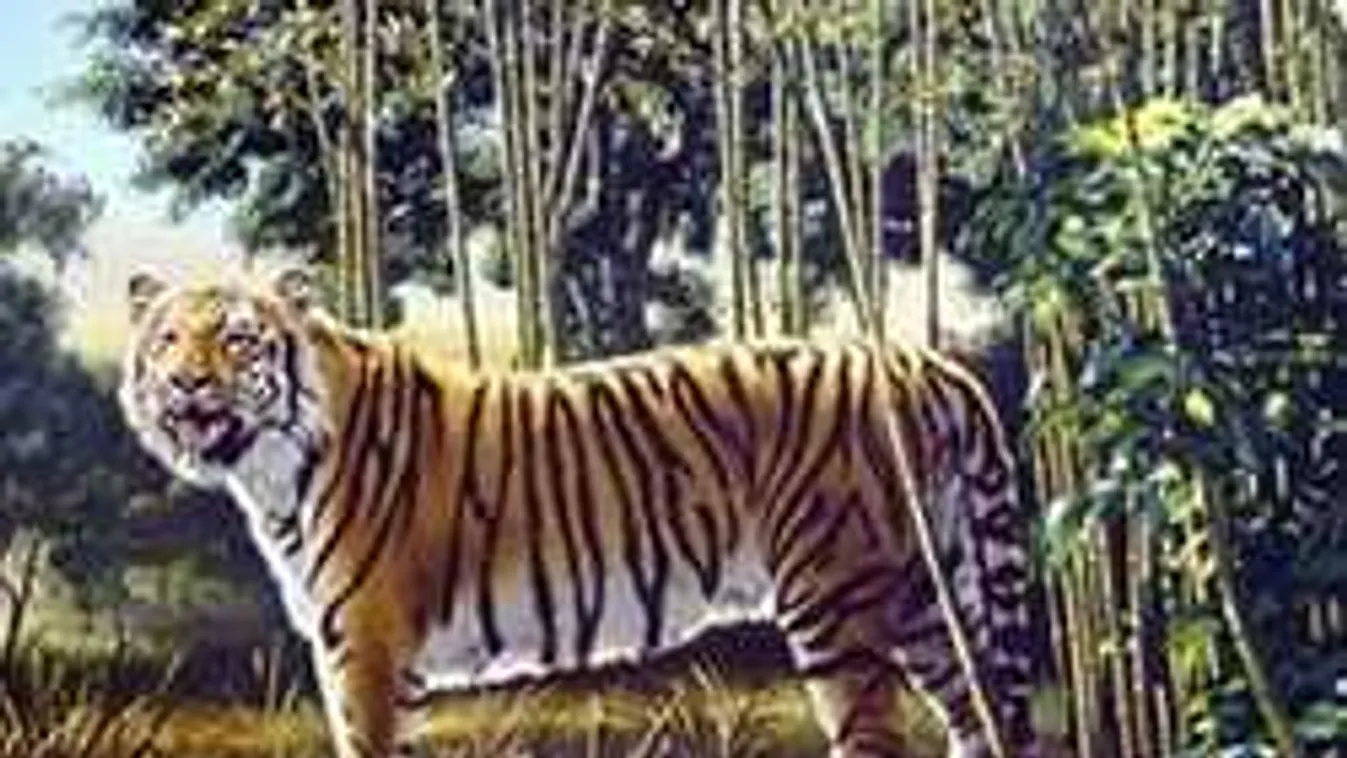 Felforgatta a netet ez a képrejtvény! Vajon rajtad is kifog?