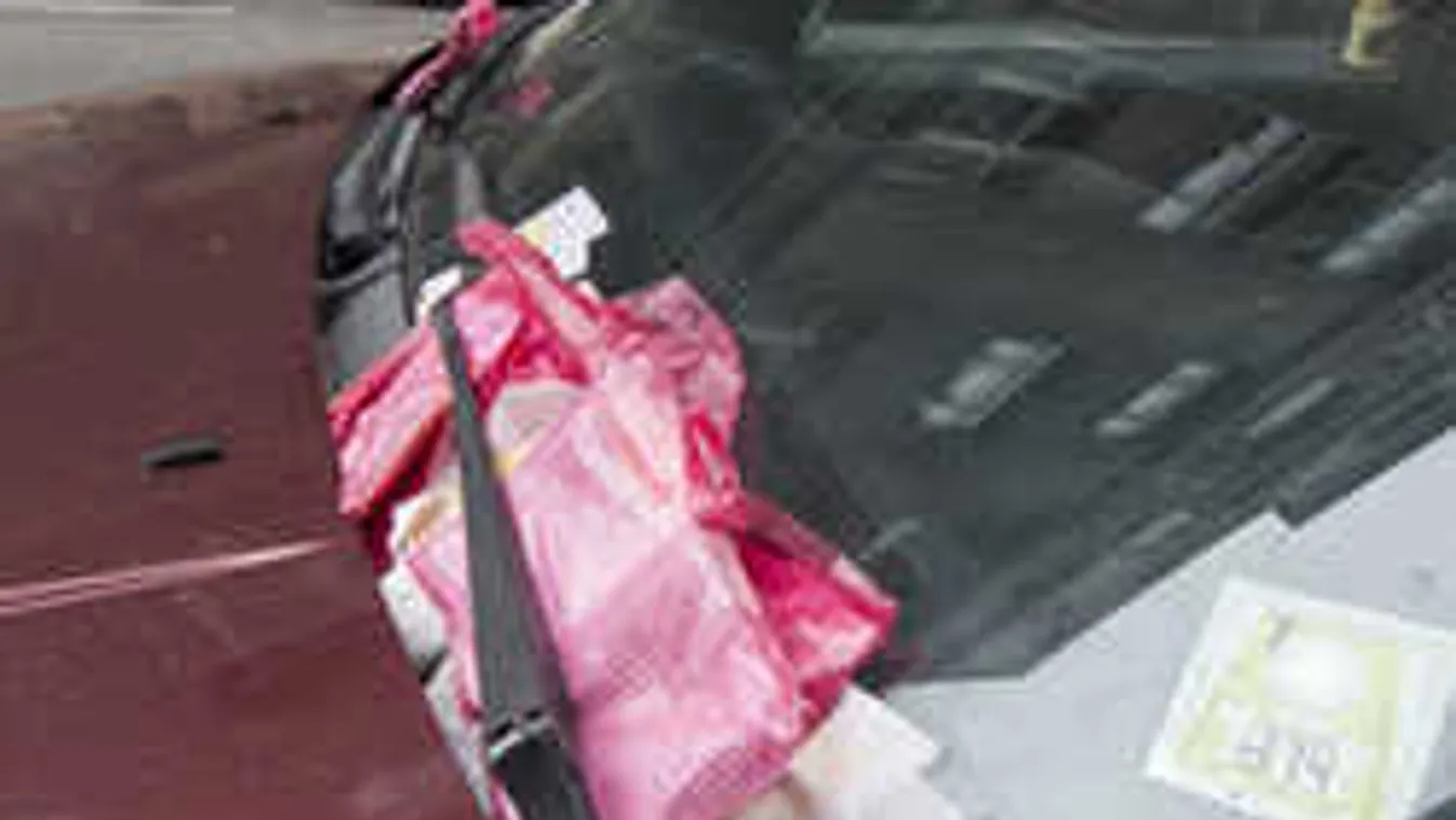 Pofonegyszerűen megúszható a parkolási bírság!