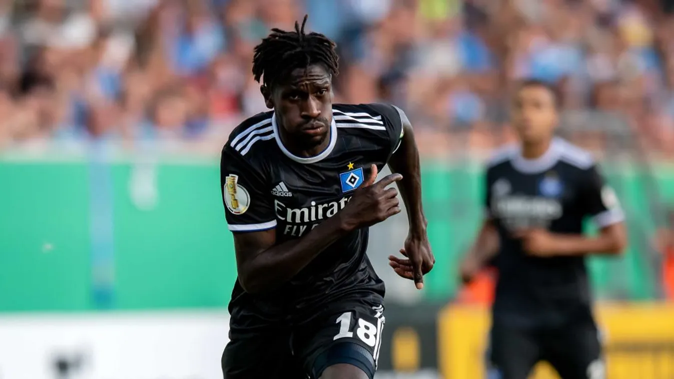 Chemnitzer FC v Hamburger SV - DFB Cup