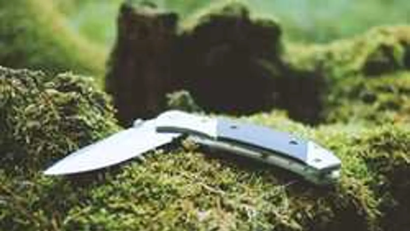 Megjelent a Kék bálna utódja, ez a játék ösztönzi öngyilkosságra a tiniket