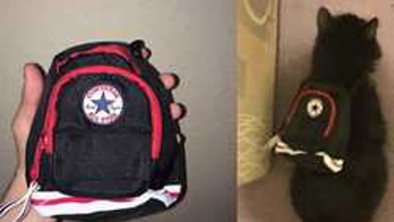 A legnevetségesebb módokon verték át az online vásárlókat