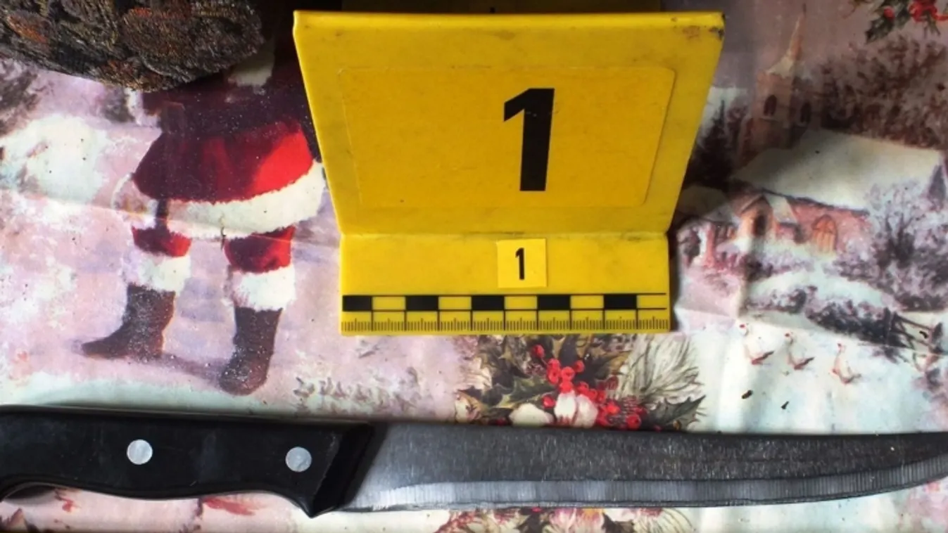 Véres véget ért a szerelem, szörnyű, mit tett kedvesével a magyar férfi