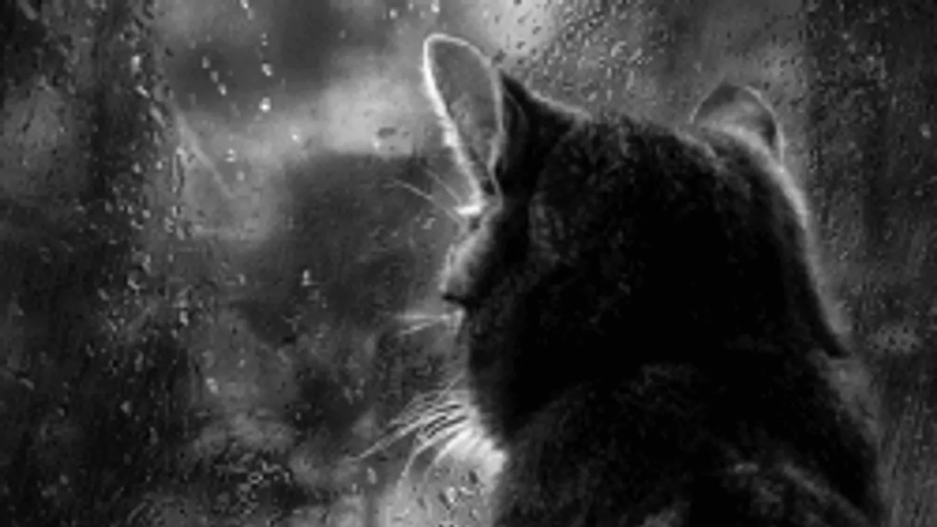 Már látszik a vége: mutatjuk, mikor tér vissza a napos idő