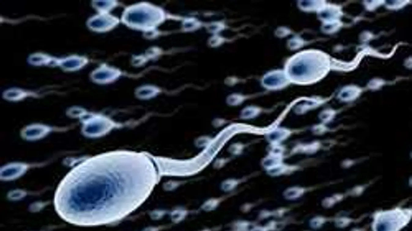 Tudtad, hogy a sperma az örök fiatalság titka?