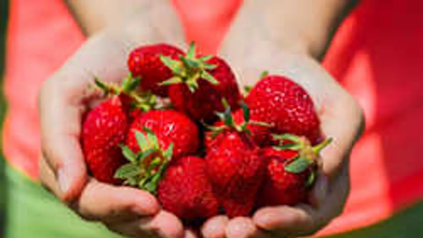 Most érik a legfinomabb, gyógyerejű magyar gyümölcs, élj 100 évig