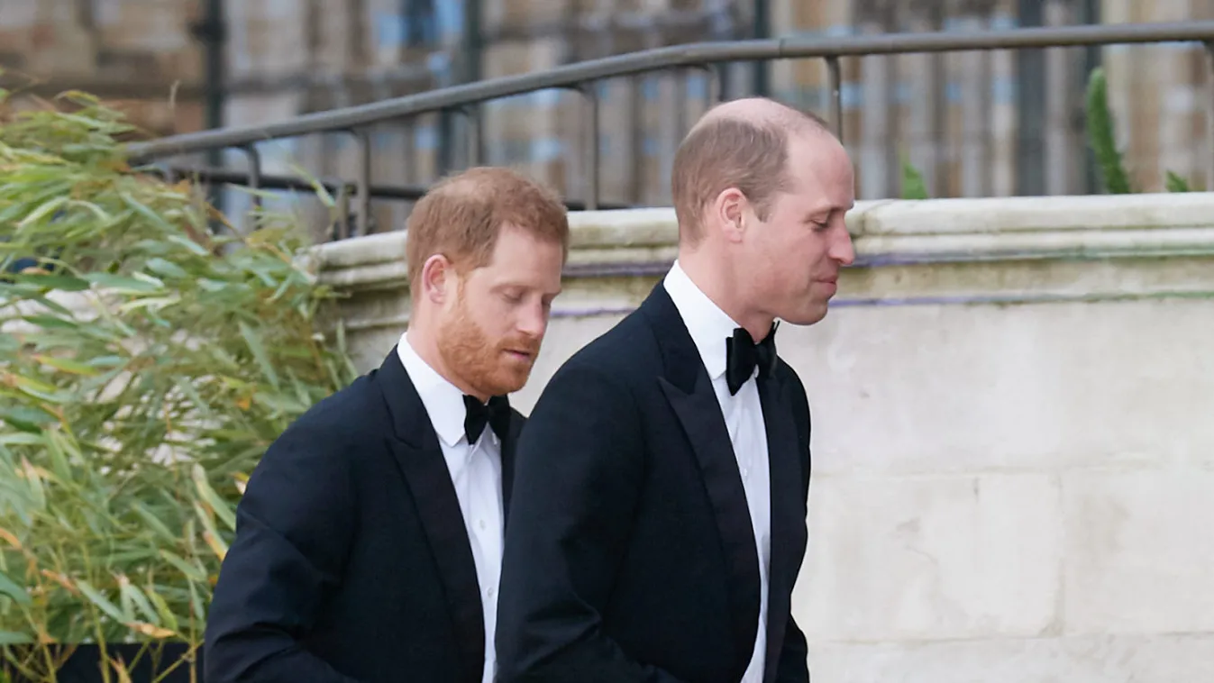 Our Planet - TV World Premiere