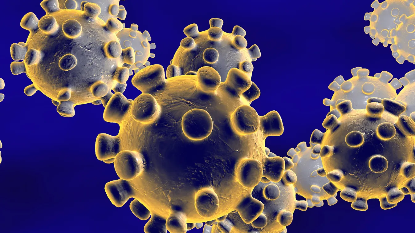 Coronavirus, virus which causes SARS and MERS
