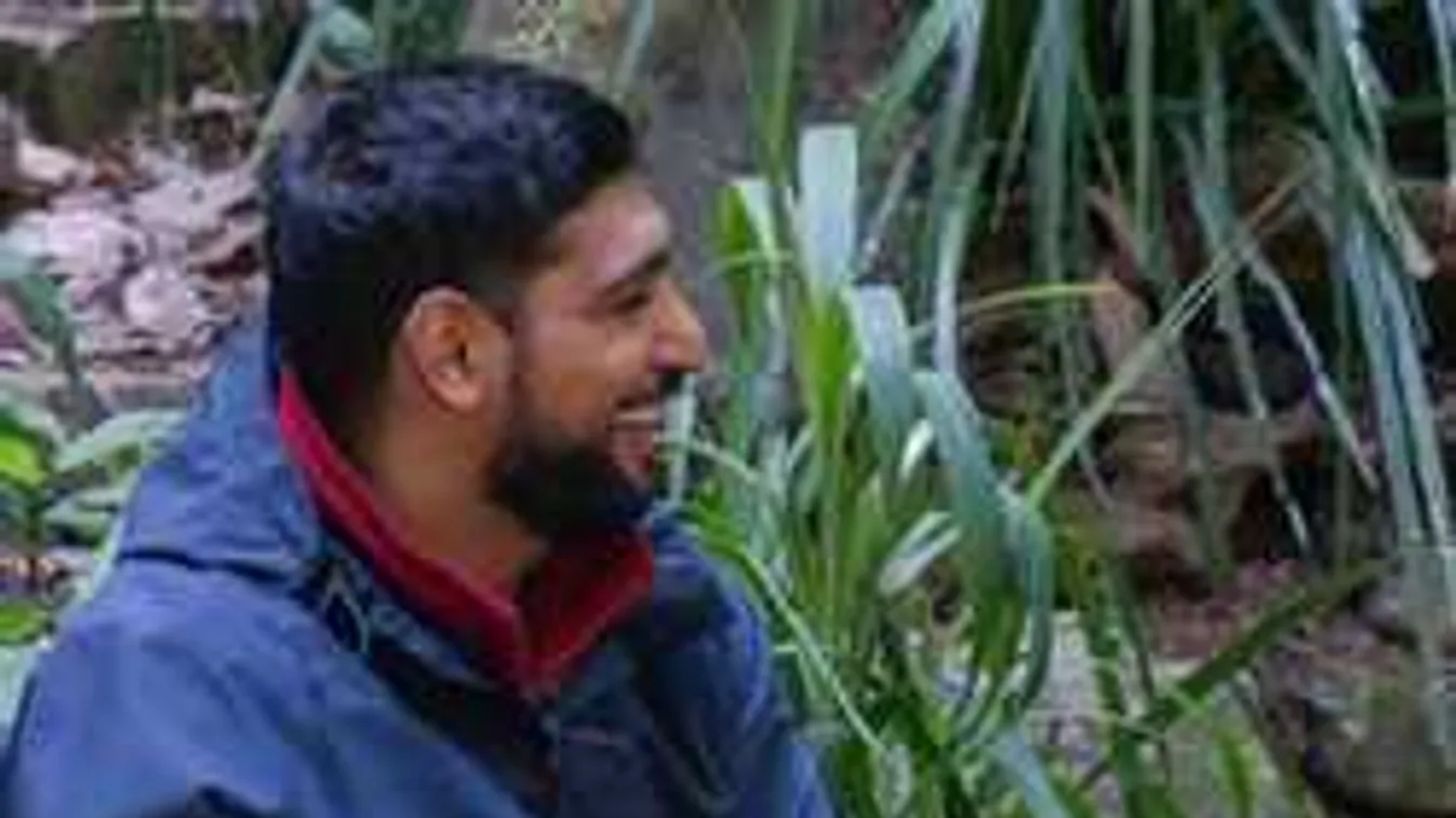 Halállal fenyegették meg a karácsonyfája miatt a bokszoló celebet ...