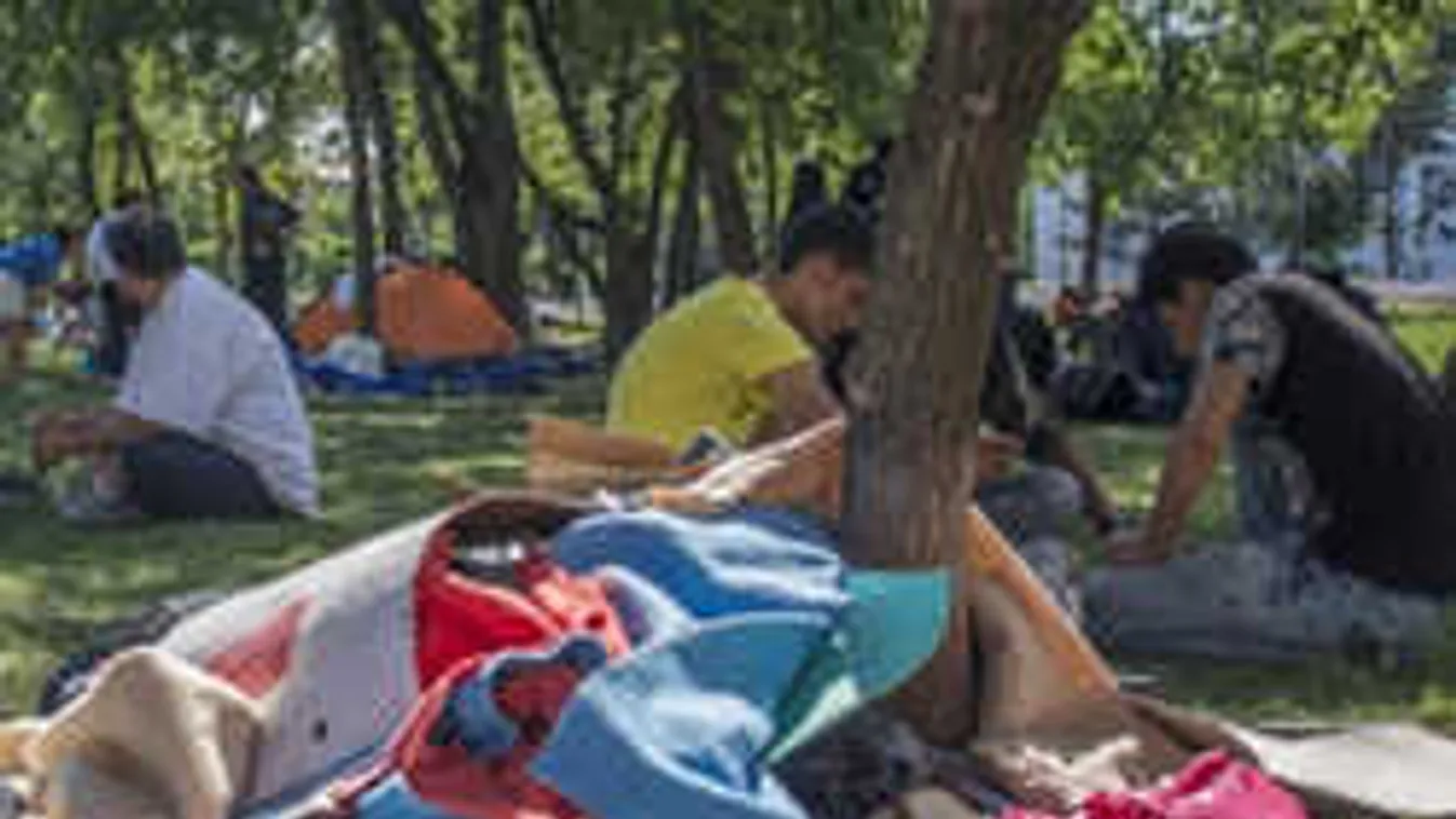 80 millióért takarítottak a migránsok után, de Kocsis Mátét zaklatták...