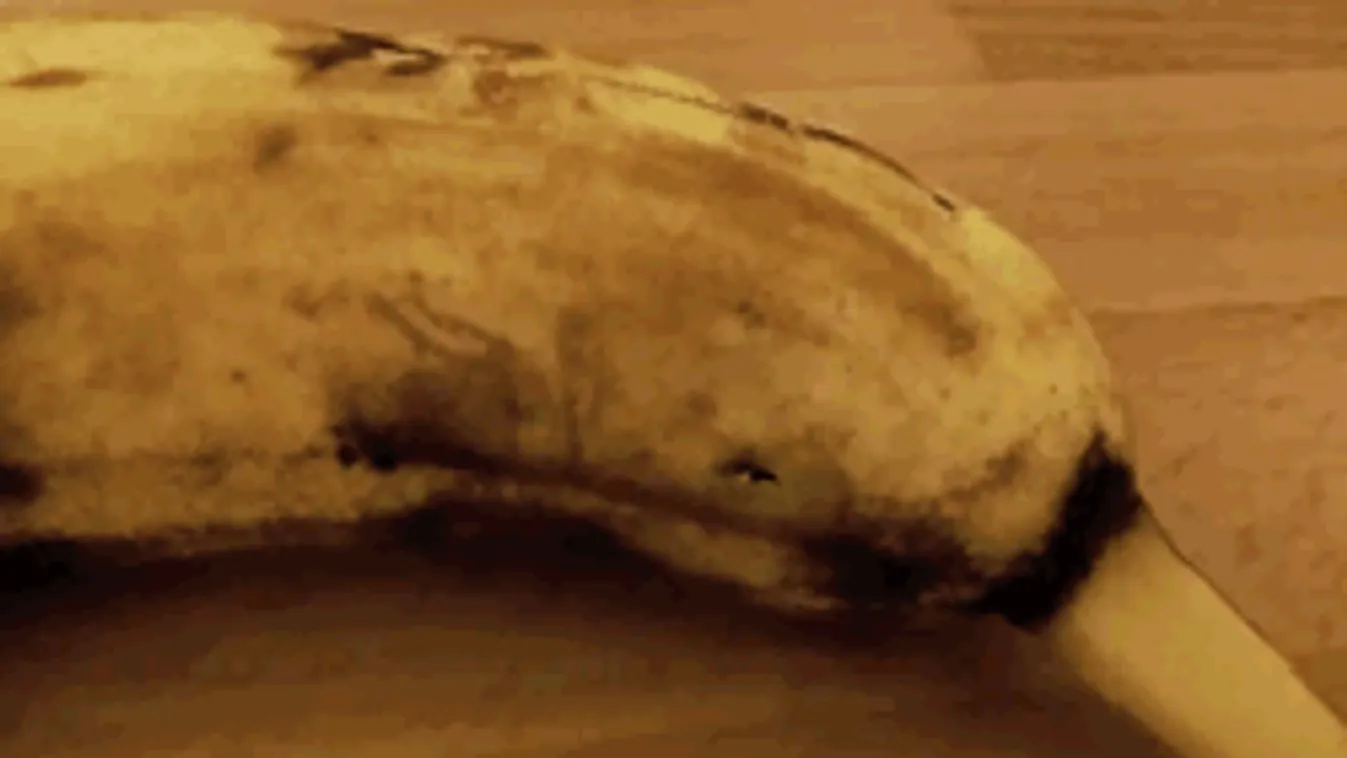 Így bújik el a szörnyeteg egy ártalmatlannak látszó banánban! - videó