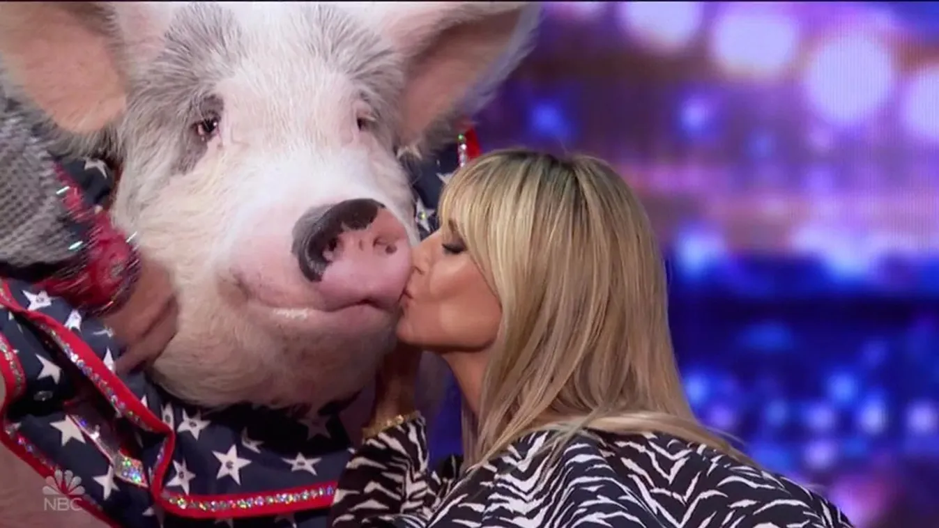 Heidi Klum kisses a pig after amazing Pork Chop Revue performance on America’s Got Talent season premiere