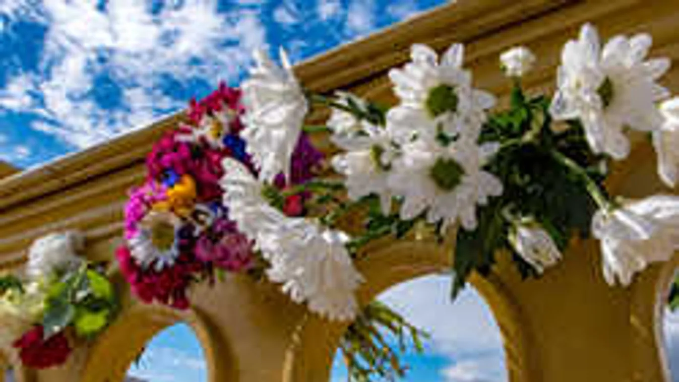 Koreai sajtó: holttestet találtak Ercsinél, helikopterek a helyszínen