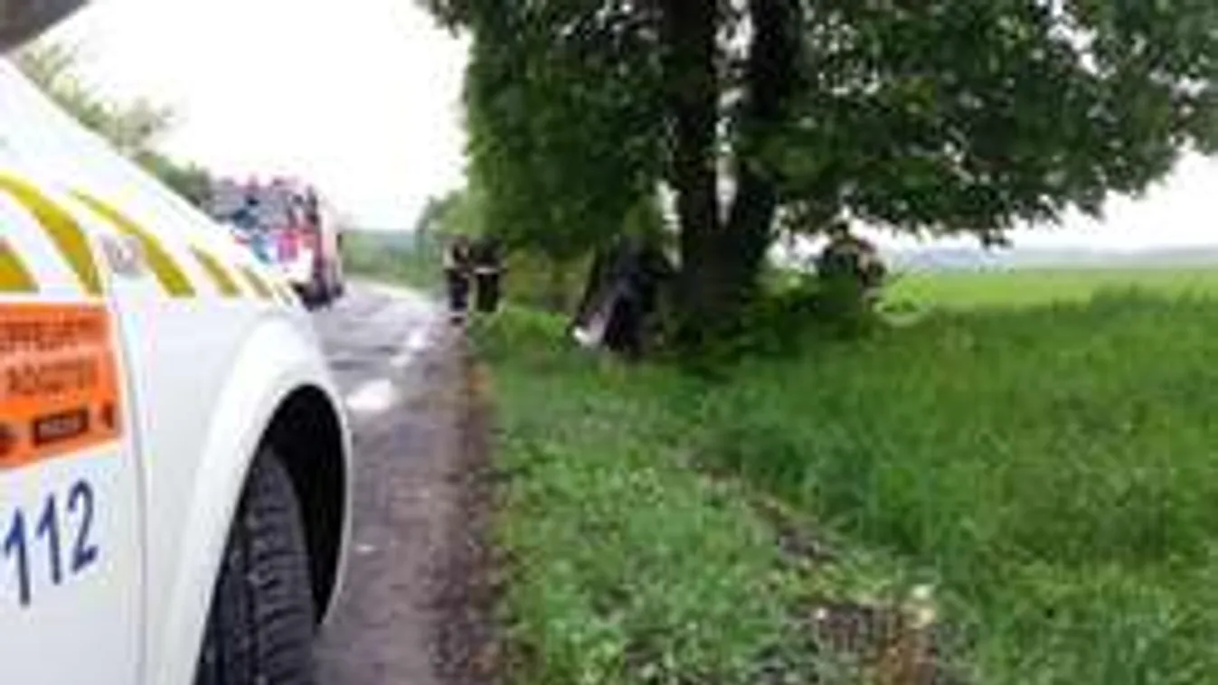 Fának csapódott egy autó Simonfánál - megrázó fotók!