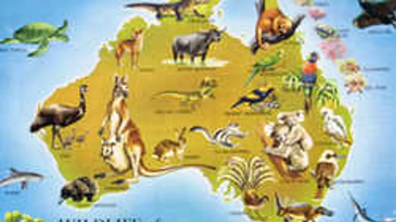 Hatalmas nyári kaland: Fedezd fel a világ legkülönlegesebb állatvilágát!