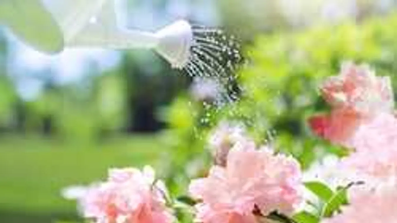 Könnyfakasztó történet: így tréfálta meg férjét a haldokló feleség