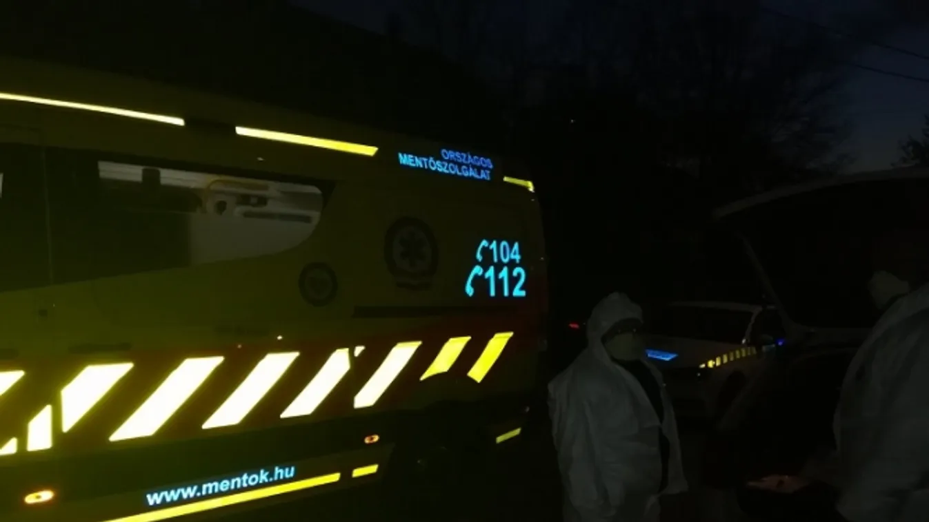 Tokodi gyilkosság: „Ütésnyomokkal az arcán vitték el a tettest!”