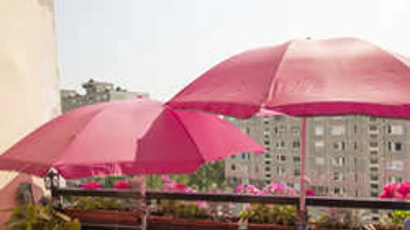 Újra itt a nyár - csak erre kell figyelni!