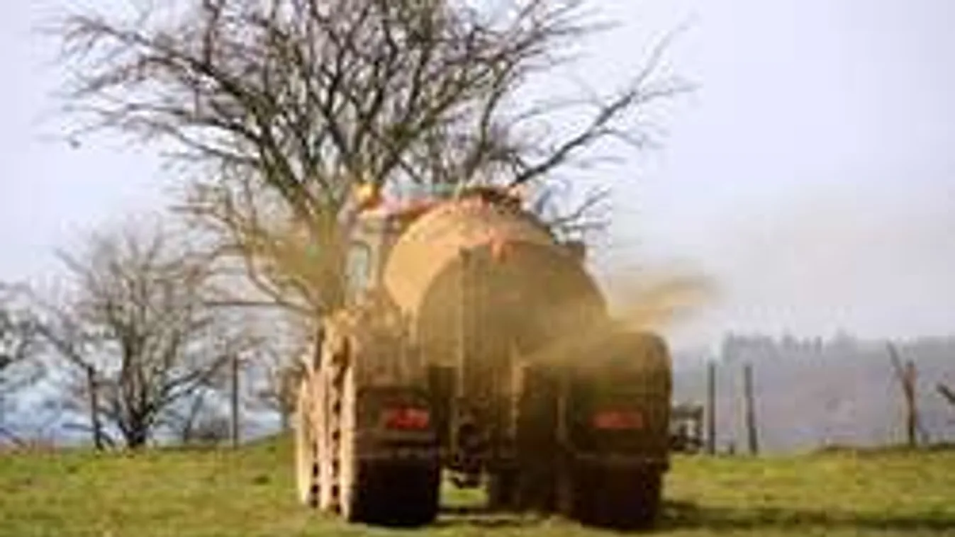 Bűz van, babám! Ezrek szenvednek a magyar kisvárosban