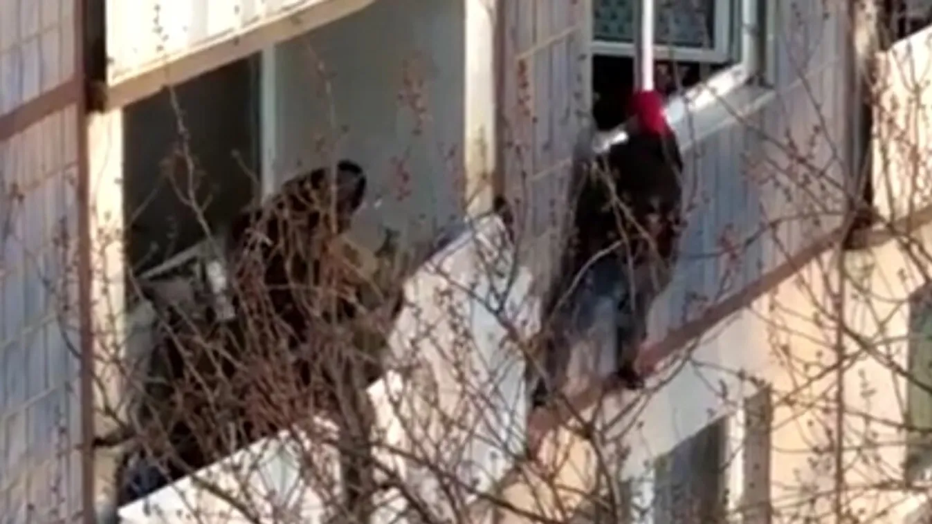 Kommandósok fékezték meg a macsétával rendőrökre támadó migránst